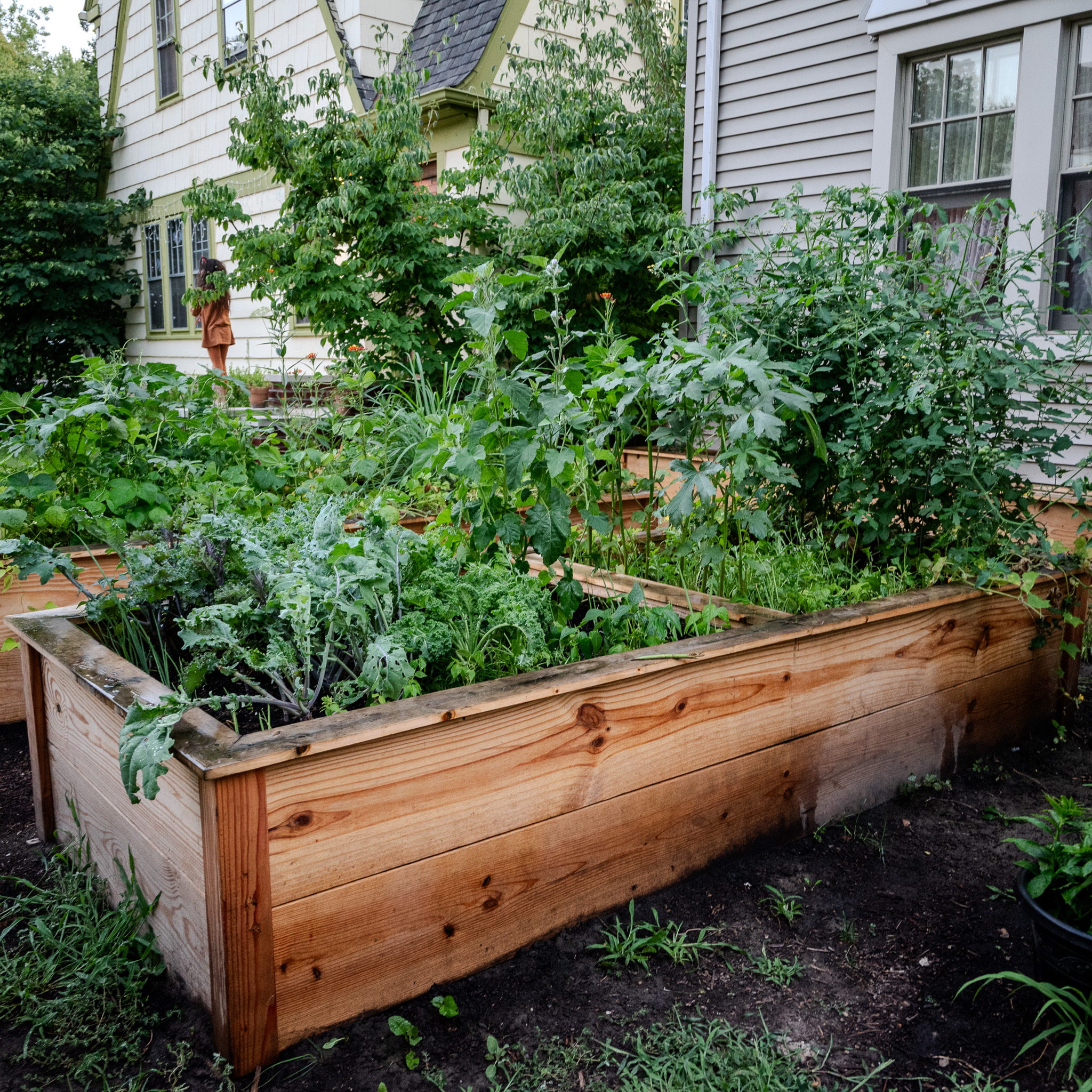 Garden Beds