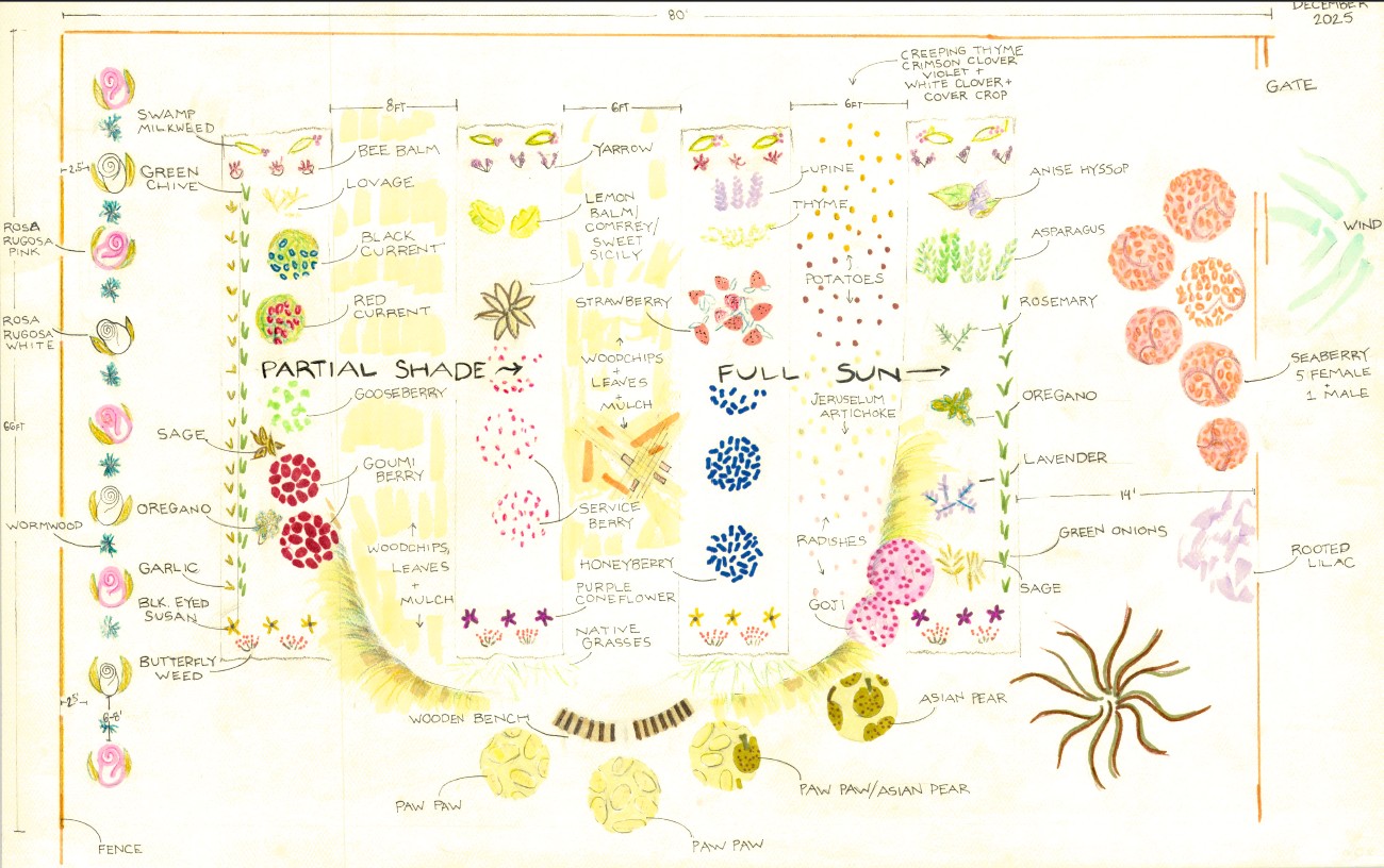 Hand-drawn food forest landscape plan by Britten Tracy